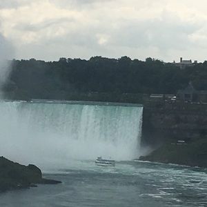 Meet your Posher, Lizzy